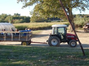 Wojcik Farm Tractor & Trailer